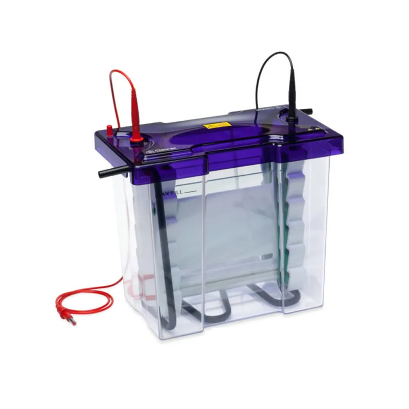 Dikey Maxi Elektroforez