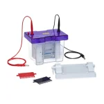 Dikey Mini Elektroforez