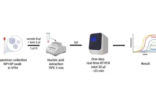real-time-pcr-sonuc-degerlendirme