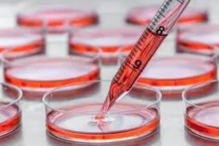 Hücre Pasajlama Nasıl Yapılır?