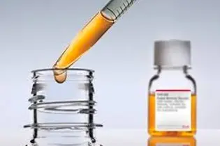 FBS Seçerken Heat Inactivated Olması Önemli mi?