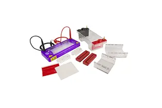 Elektroforez ve Güç Kaynağı