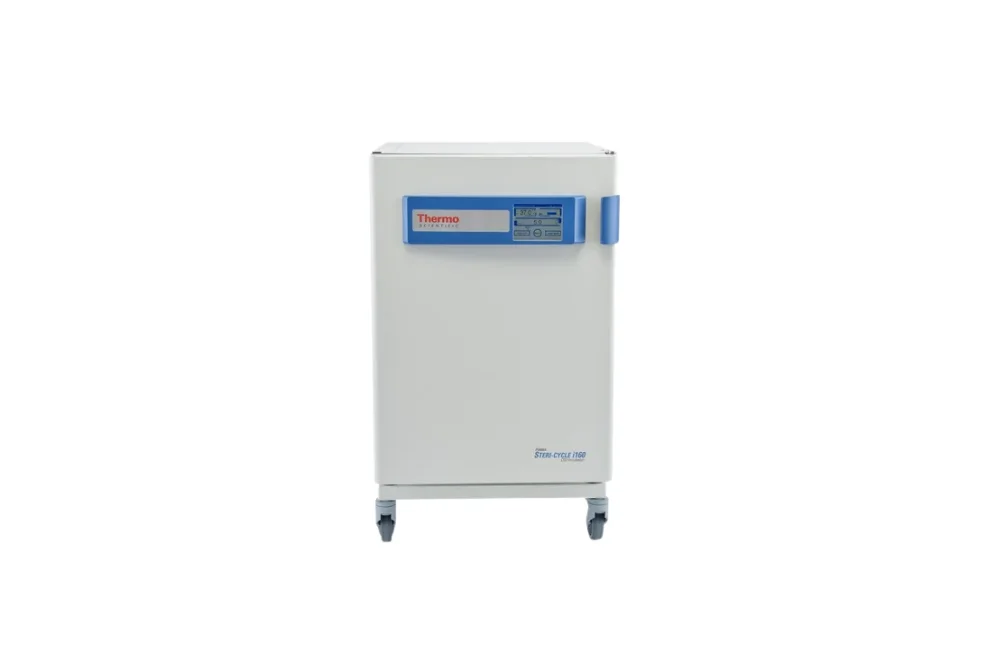 Thermo Co2 İnkübatör